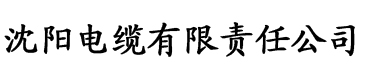 青楼传媒电缆厂logo